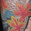 Koi Fish Tattoo By Little Chico 2009