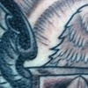 Bird 2011