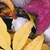 Pretty Gutter II