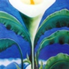 Callas and Hills