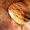 Aboriginal Handprint Wall at Mutawintji National Park, NSW