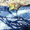 San Francisco Gutter