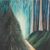 Enchanted Forest
