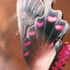 Butterfly Flutter
