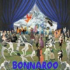 Bonnaroo Poster