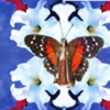 She Often Dreams of Petunias - Digital Collage