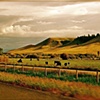 Somewhere in Wyoming