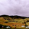 Selwyn