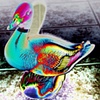 DEAD DUCK