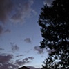 Shades of Indigo Blue