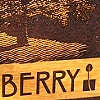 signs, signs, everywhere are signs
