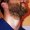 Honey Beard