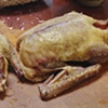 Goose