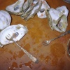 Oysters