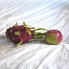 Fruit
