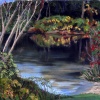 Hedge Pond