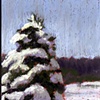 Lone Tree