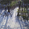 Backyard Winter Blues