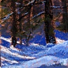 Snow Shadows