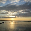 Pamet Harbor Gold