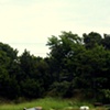 Bass River Boats 2