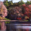 Hobomock Pond