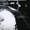 SR 520 at Foster Island, Apr 09