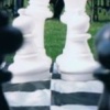 ChessInstitute.org at Cal Anderson Park. 8.31.08