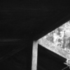 Barn