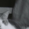 Boobah. 10.6.08