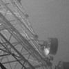 In the Fog. 10.4.08