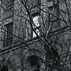 Occidental Ave S & Yesler Wy. 2.20.09
