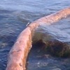 Beach Dr SW (2)