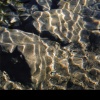 2006