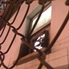 Fenced in Window, E Marginal Way (?). ~0201h