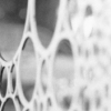 Bubble Fence (1)