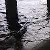 Revisit of 'Shimmer-2000,' Provincetown Harbor, MA, Oct 09