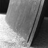 2007