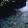 Waterfall Pool (Color). 10.29.08