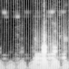 Digitized DNA Sample