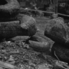 Tire Pile