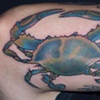 crab
