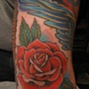 rose