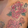 peonies- alyssa