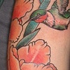 hummingbird + flowers
