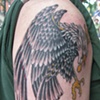 eagle