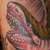 Shark