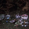 Untitled (Fairy Village)