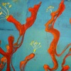 Red Coral