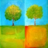 Conversations with Trees,  Twin Oaks